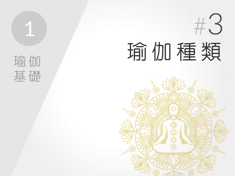 1.) 瑜伽基礎 #3 瑜伽種類